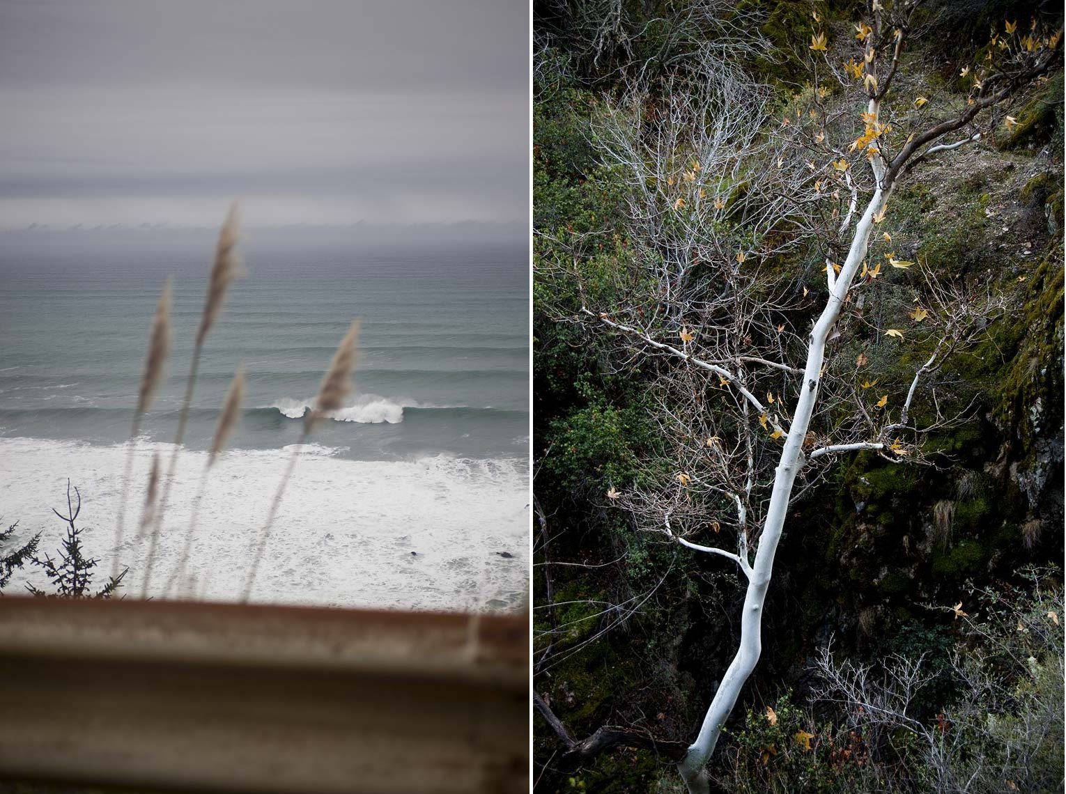 016-OregonDiptych